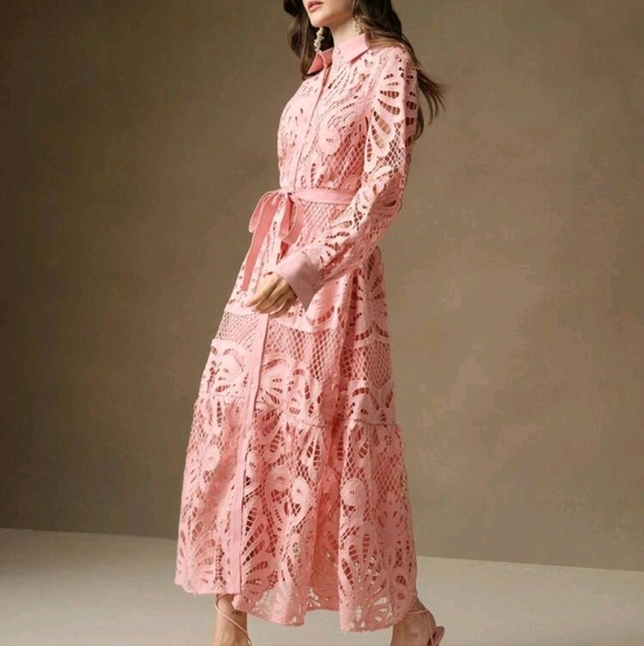 Women's Elegant Solid Color Lace Embroidered Button-Up Empire Waist Dress - Picture 2 of 4